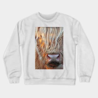 Highland Cow Crewneck Sweatshirt